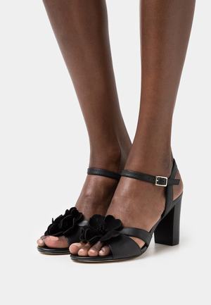 Women's Anna Field LEATHER Block heel Buckle Sandals Black | BXGKSRO-16